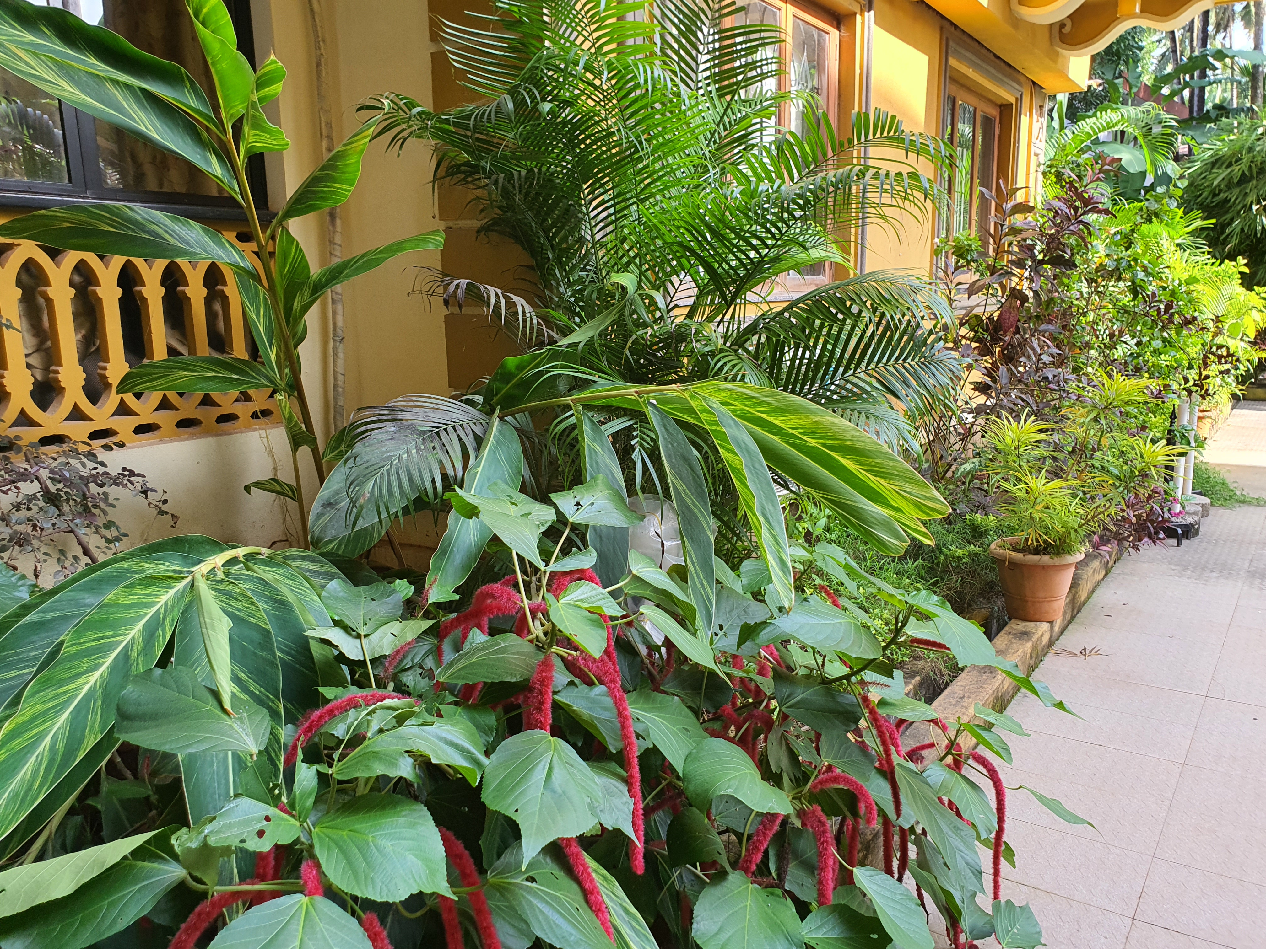 Majorda Pristinne Resort